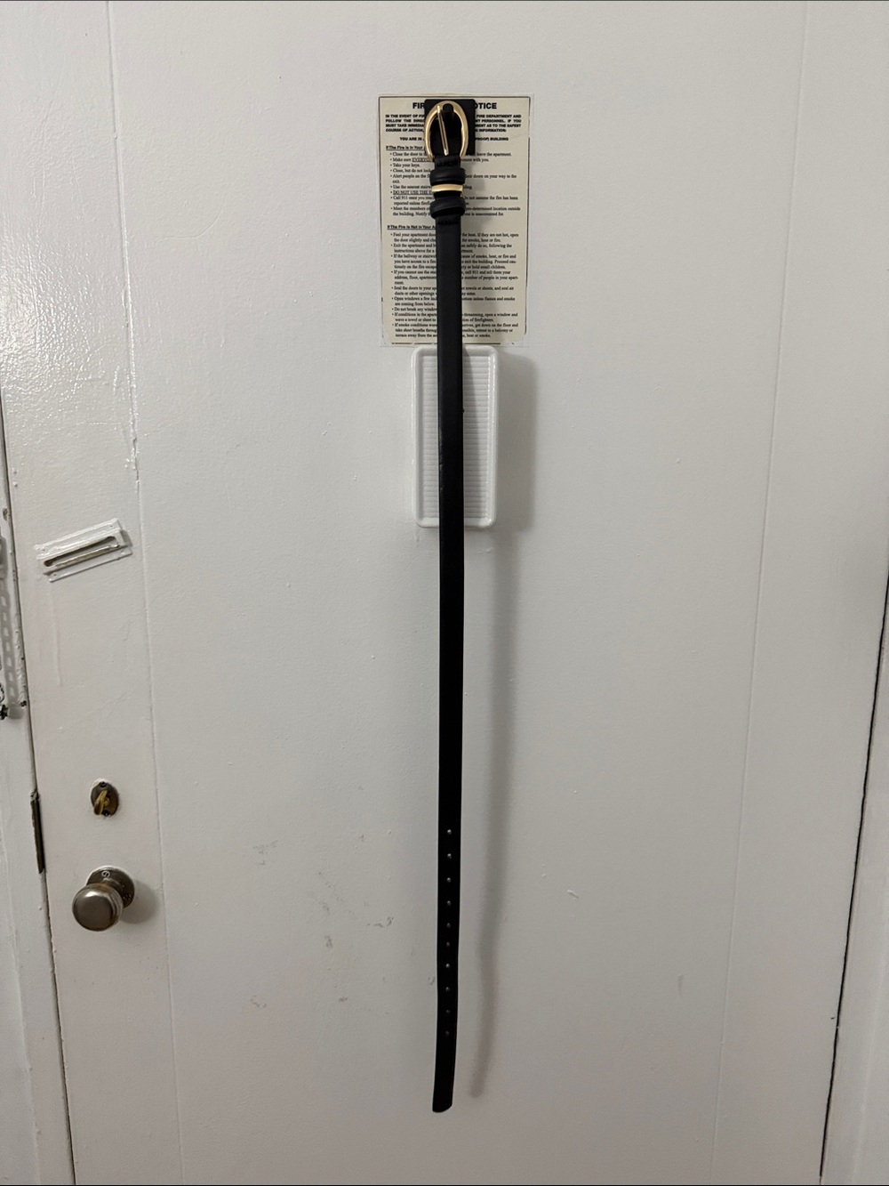 Brandy Melville Black Belt with Gold Buckle